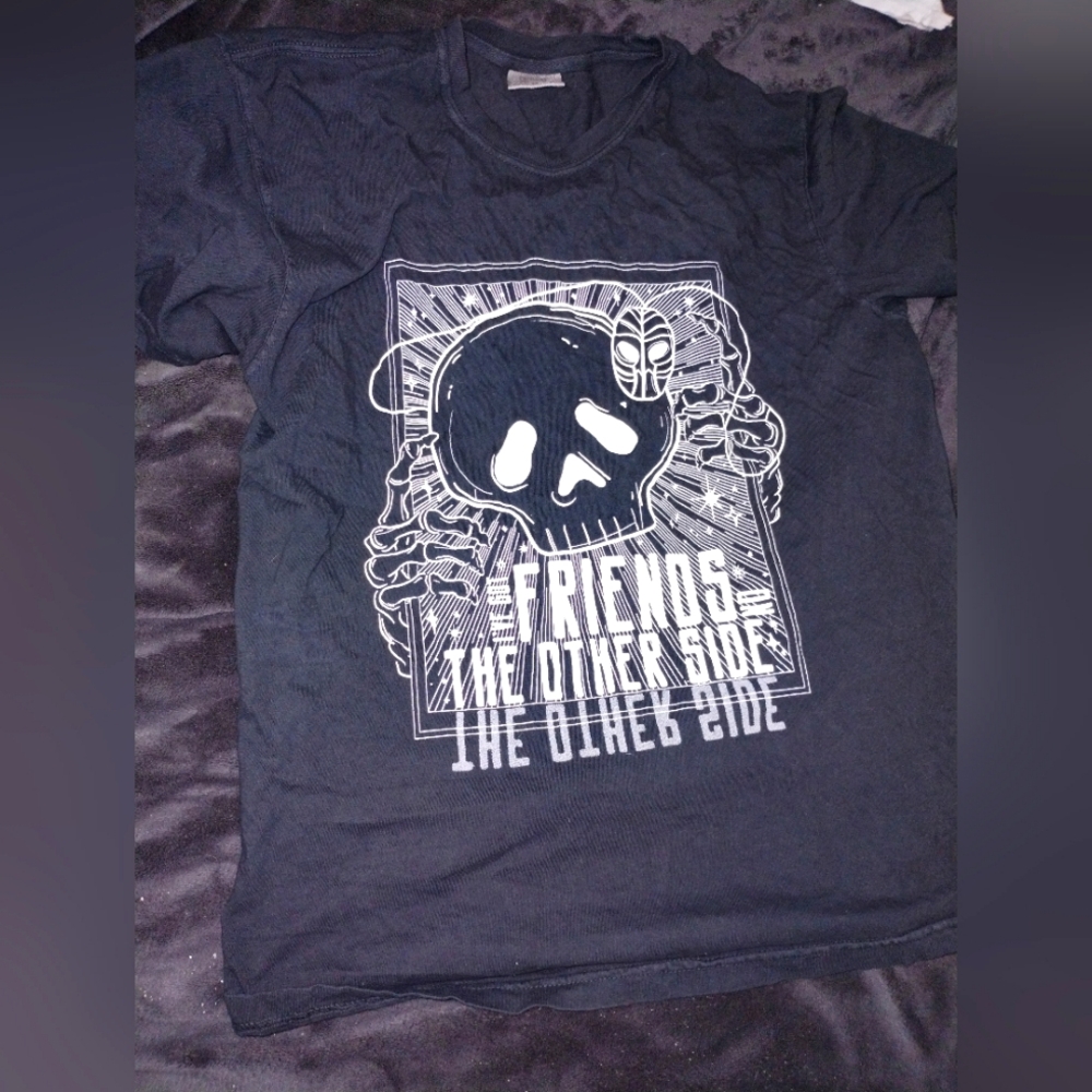 Princess and frog shirt